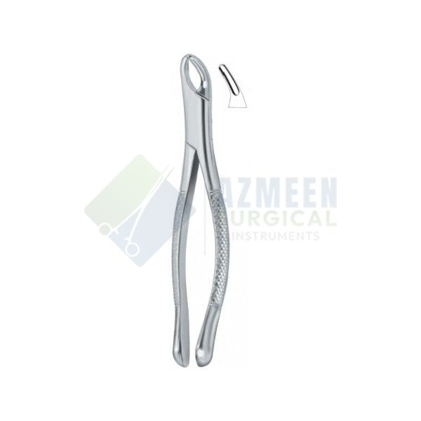  Cryer Bicuspids , Incisors and Roots 150