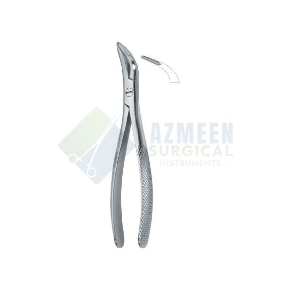 Witzel Root Fragments and Universal 502