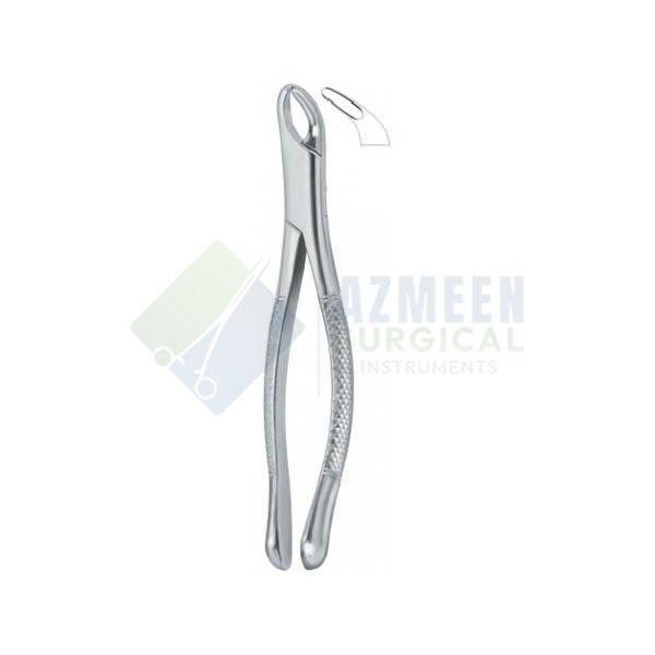  Cryer Bicuspids , Incisors and Roots 151