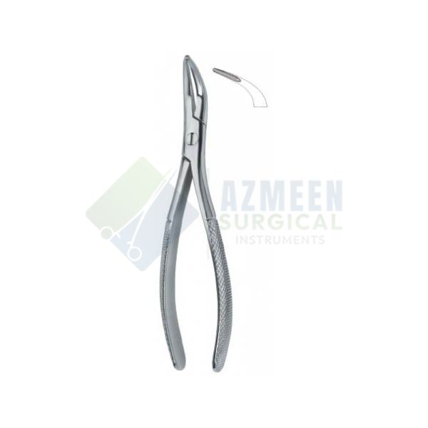 Root Fragments and Universal 501 