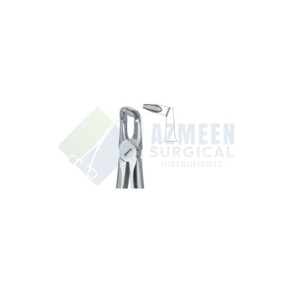  Roots, Very Fine Beak 51A 