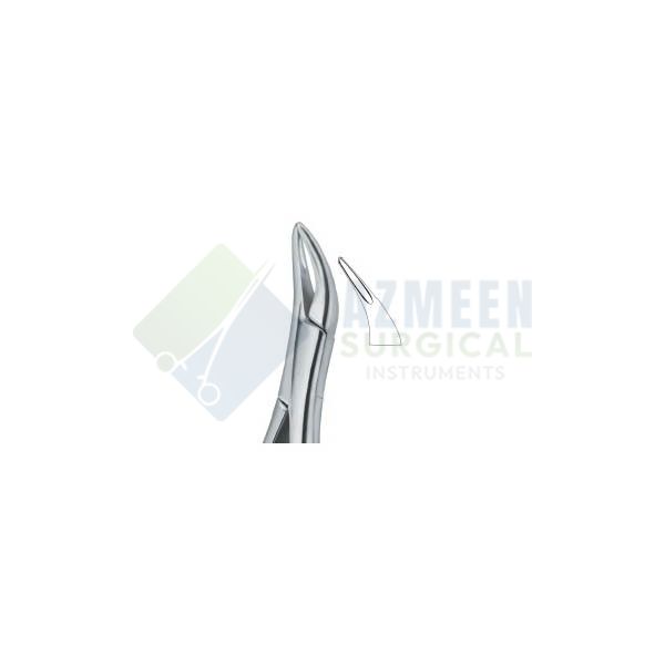 Tooth Ext Forceps Amr