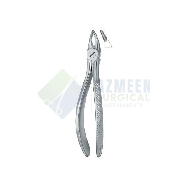 Incisors and Roots 30S